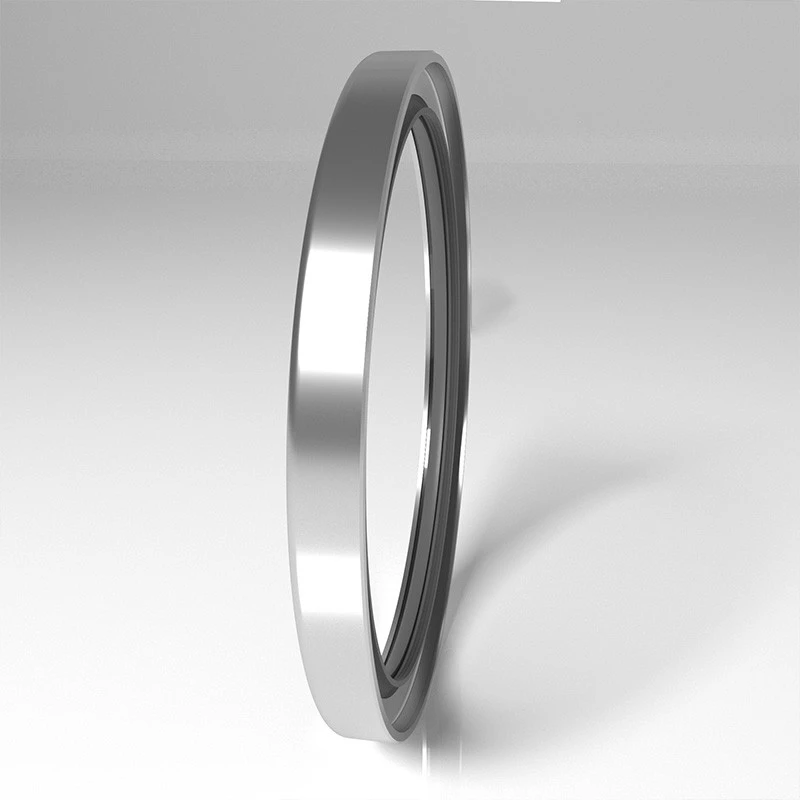 High Pressure Rotary Seals