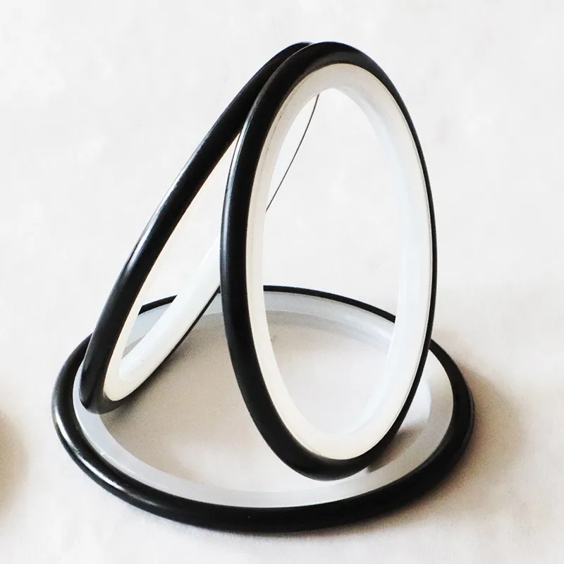 Rotary Glyd Ring Seal